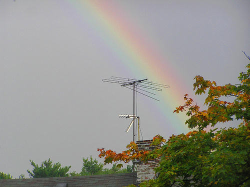 Who Saw The Double Rainbow Universal Hub