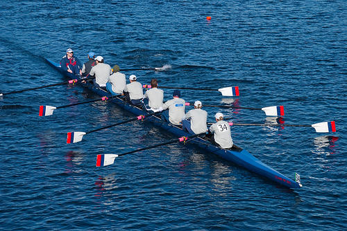 Regatta