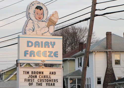 Dairy Freeze