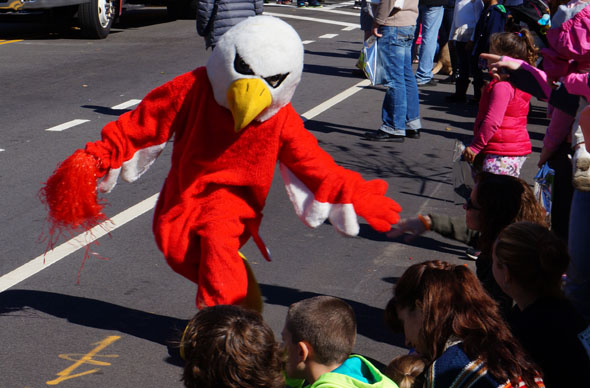 Eagle in Roslindale Day Parade