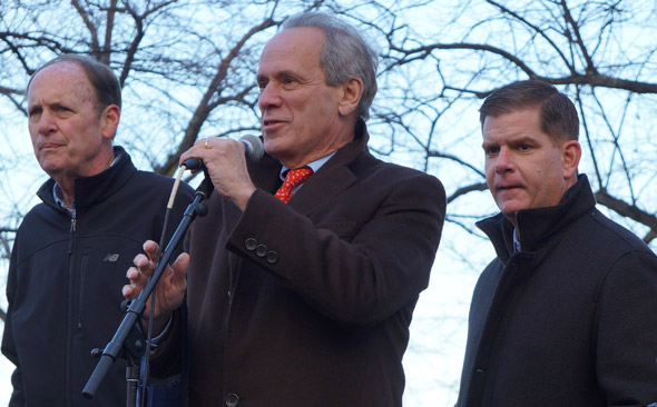 Lucchino in Roslindale