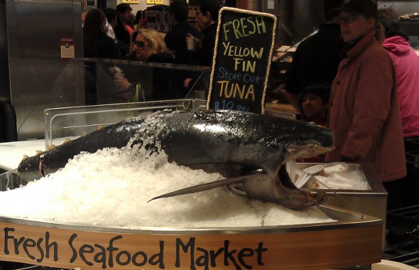 Tuna