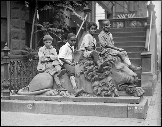 Old lion in the South End