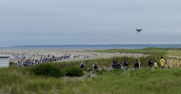 Crane Beach strandbeest crowd