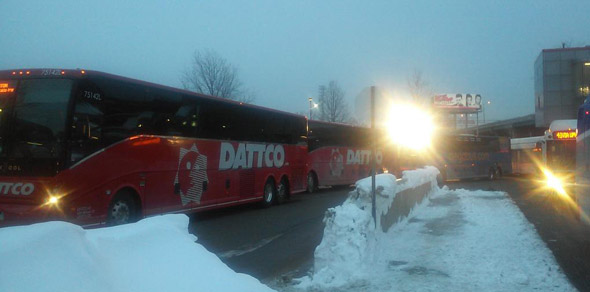 Buses at JFK/UMass