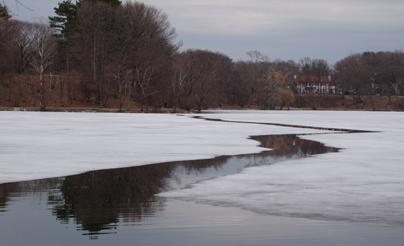 Water in Jamaica Pond