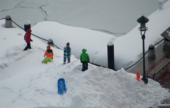 Boys looking in water