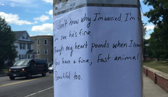 Plea for dog owner to call guy