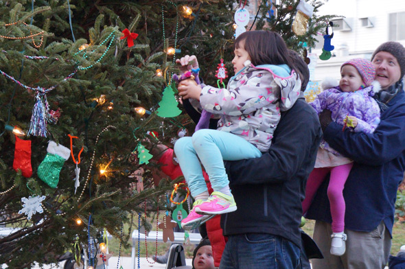 Christmas tree in Roslindale