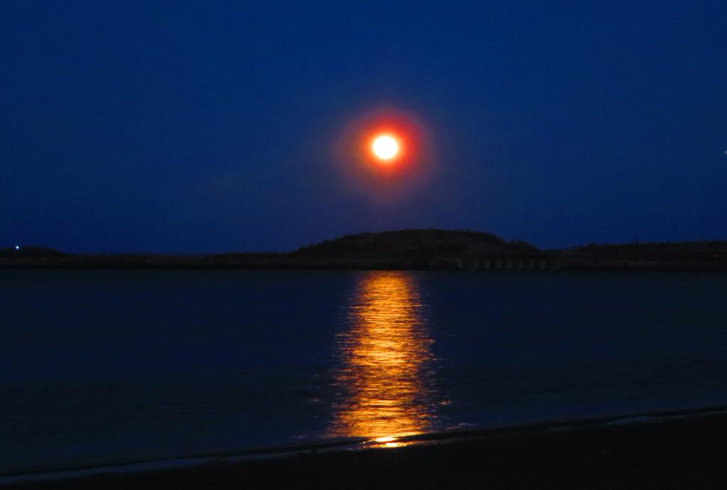 Moonrise over South Boston