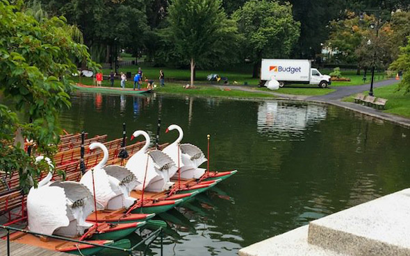 Swan Boats on their way out for the season
