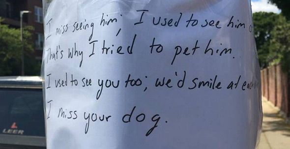 Flier on South Huntington: Guy misses dog and woman who owns him