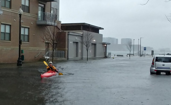 Man kayaking down Lewis Street in East Boston