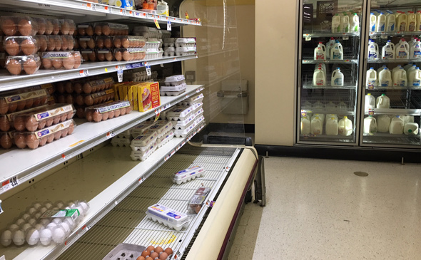 Eggs and milk at Jackson Square Stop and Shop