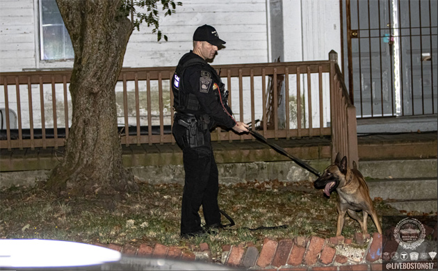 Ballistic dog at scene