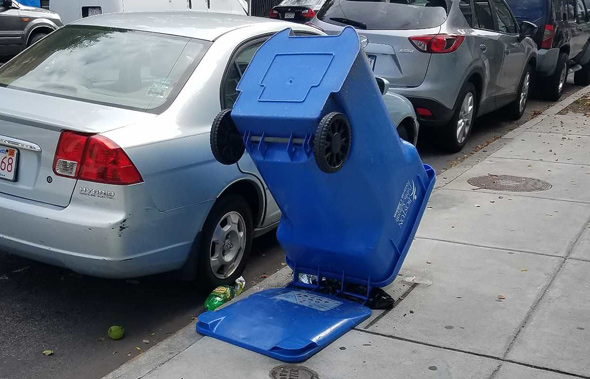 Hidden hydrant in East Boston