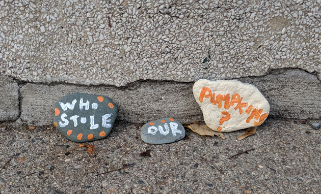 Pumpkins gone on Pond Street in Jamaica Plain