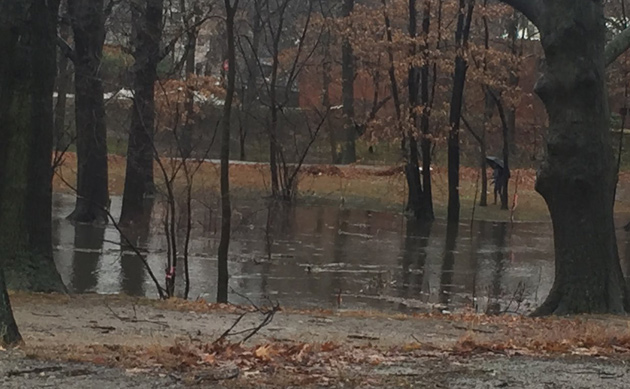 Muddy River overflows banks