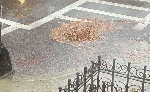 Clogged catch basin at Commonwealth Avenue and Gloucester Street