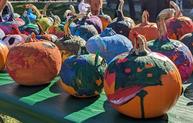 Painted pumpkins