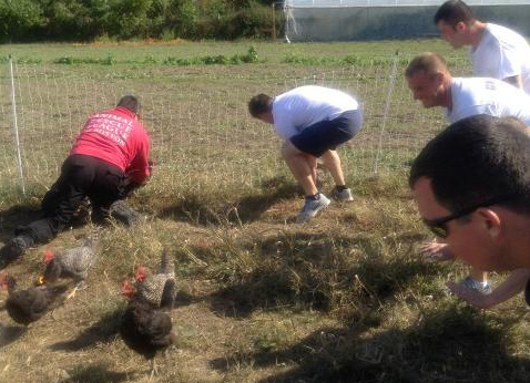 Boston Fire recruits round up chickens