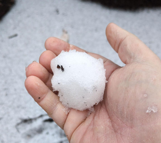 Snowball in person's hand in Cambridge