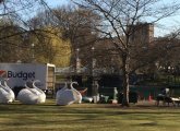 Swan Boats returning to the Public Garden Lagoon in Boston