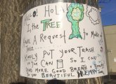 Tree asks people to stop putting trash around it at the base of  Mission Hill