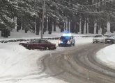 Spun out car on Walter Street in Roslindale