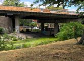 Muddy River in a drought