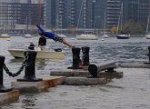 Guy diving into Boston Harbor during king tide