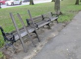 Vandalized bench on Commonwealth Avenue Mall