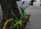 Two rental bikes that don't belong in South Boston