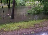 Flooding Muddy River