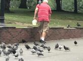 Boston Common Pigeon Guy