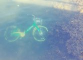 Rental bike in the water off East Boston