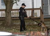 Ballistic dog at scene