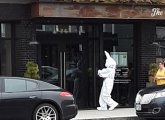 Big bunny hops into South Boston bar