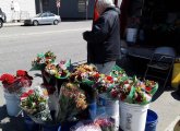 Mr. Mahoney selling flowers out of his van on Old Colony Avenue