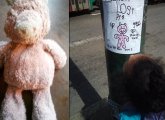 Missing stuffed pig