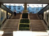 Escalator now a plant stand at Center Plaza