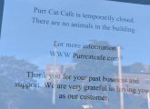 Purr Cat Cafe in Brighton temporarily closed, sign says