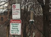 Bird feeder attached to city pole