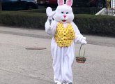 Easter Bunny in Dedham