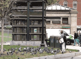 Woman feeding pigeons at Park Street