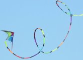 Kite above Millennium Park in West Roxbury