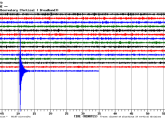 Earthquake seismograph