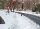 Sidewalk vs. road in Franklin Park