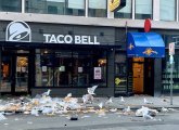 Gulls enjoying a feast outside the Taco Bell in downtown Boston