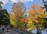 Colorful trees at Jamaica Pond